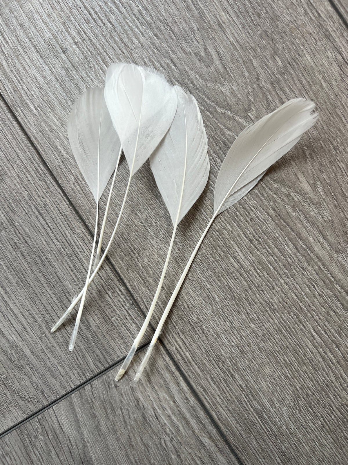 White Long Coque Feathers x5-Fascinators Direct