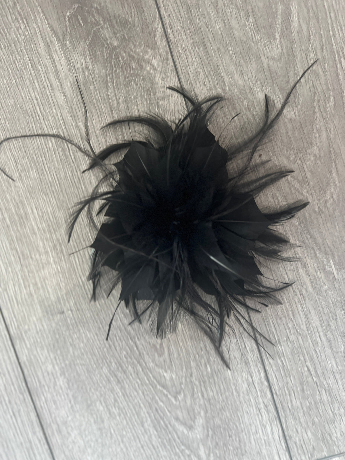 Wispy Feather Black Fascinator on Hair Clip-Fascinators Direct
