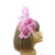 Clip in Pink Fascinator with Twin Feather Quills-Fascinators Direct