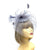 Crin Loops & Feather Hairband Fascinator with Veil - Grey-Fascinators Direct