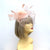 Crin Loops & Feather Hairband Fascinator with Veil - Peach-Fascinators Direct